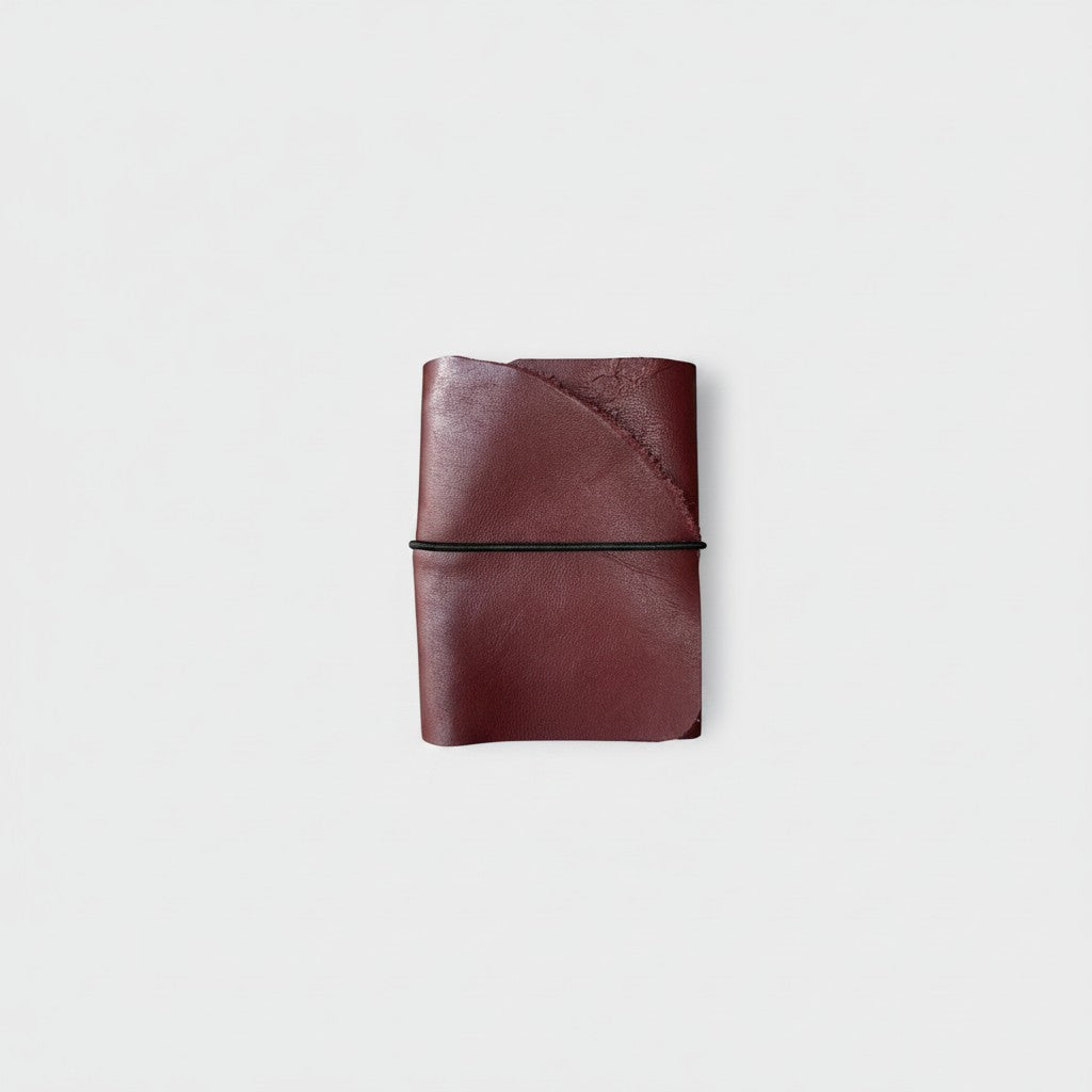 Journal Petite Passport